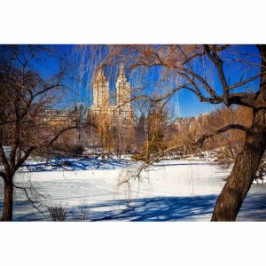 Central-Park-in-Winter
